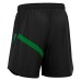 SHEN ECO SHORTS BLK/GRN