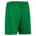 SKARA ECO SHORTS GRN