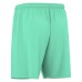 SKARA ECO SHORTS TURQ