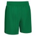 PLATINUM ECO WOMAN SHORTS GRN